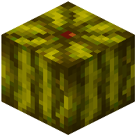 Swampy Melon