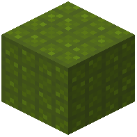 Tiled Green Wool