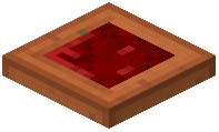 Warted Acacia Trapdoor