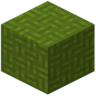 Woved Green Wool