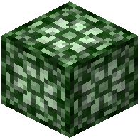 Wool Lime/Legacy