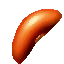 Porov Nut