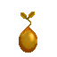 Lasan Nut Seed