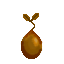 Luchile Nut Seed