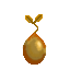 Pepio Nut Seed