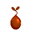 Saraha Nut Seed