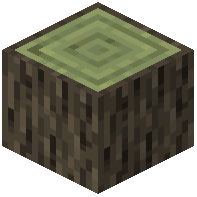 Olive Log