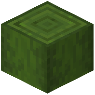 Stripped Verdant Log