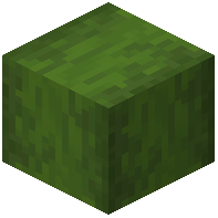 Stripped Verdant Wood