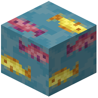 Fish Wallpaper