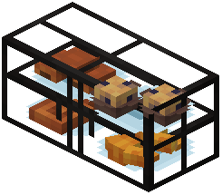 Pastry Display Case