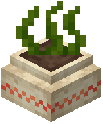 Seaweed Planter