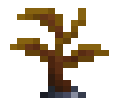 Black Apricorn Sapling