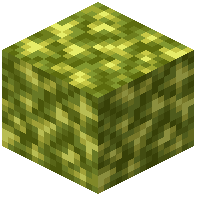 Bug Gem Block