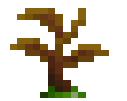 Green Apricorn Sapling