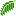 Coconut Palm leaf