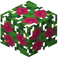 Magenta Hibiscus Leaves