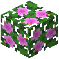Pink Hibiscus Leaves