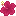 Magenta Hibiscus Flower