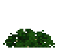 Coffee Plant Stage 0