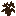 Brown Sapling