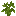 Green Sapling