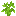 Lime Sapling