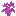 Magenta Sapling