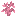 Pink Sapling