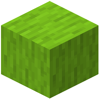 Lime Wood
