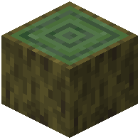 Willow Log