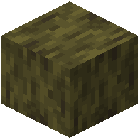 Willow Wood