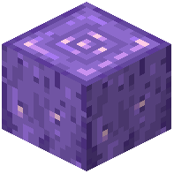 Amethyst Stripped Log