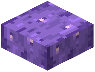 Amethyst Stripped Bark Slab