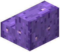 Amethyst Stripped Bark Stairs