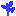 Blue Sapling