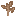 Brown Sapling