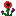 Crawling Wild Rose