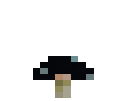 Black Mushroom (Dome)