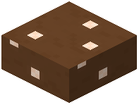 Brown Mushroom Slab (Dome)