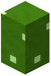 Green Mushroom Wall (Dome)