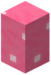 Pink Mushroom Wall (Dome)