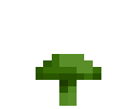 Lime Mushroom (Flat)