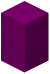 Purple Mushroom Wall (Flat)