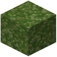 Green Glowmoss
