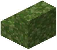 Green Glowmoss Stairs