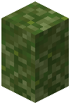 Green Glowmoss Wall