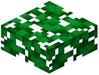 Green Leaf Slab