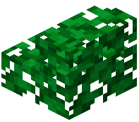Green Leaf Stairs