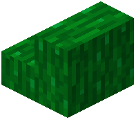 Green Bark Stairs